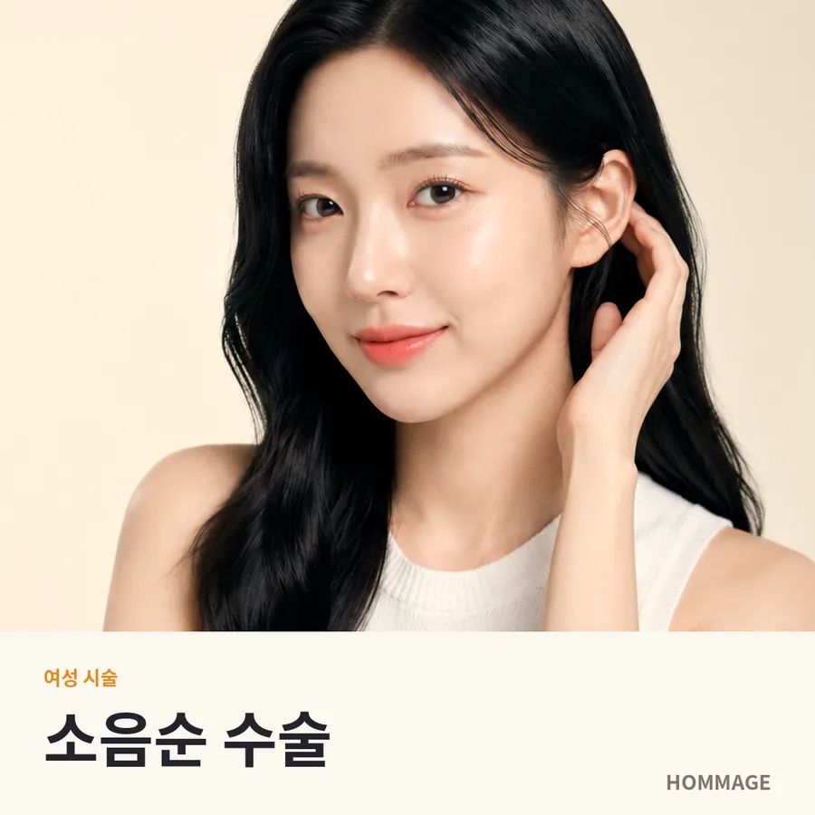신논현 여성의원 소음순 수술